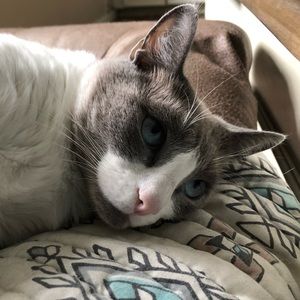 Meet your Posher, Winter